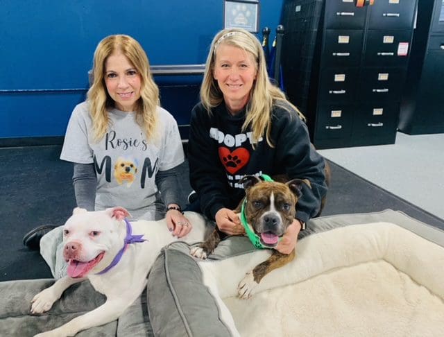 Two women sitting with two happy dogs in a cozy indoor setting.