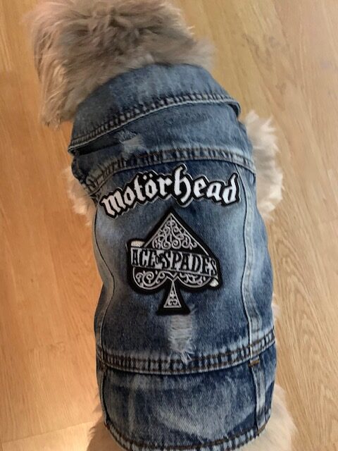 Denim jeans with a Motorhead band patch and distressed design.