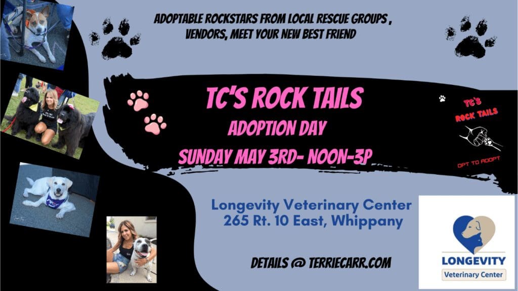 Pet adoption event poster with dogs and details.