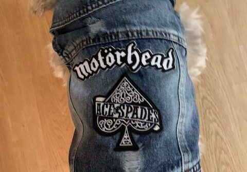 Denim jeans with a Motorhead band patch and distressed design.