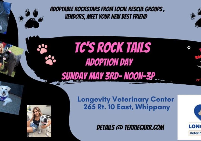 Pet adoption event poster with dogs and details.